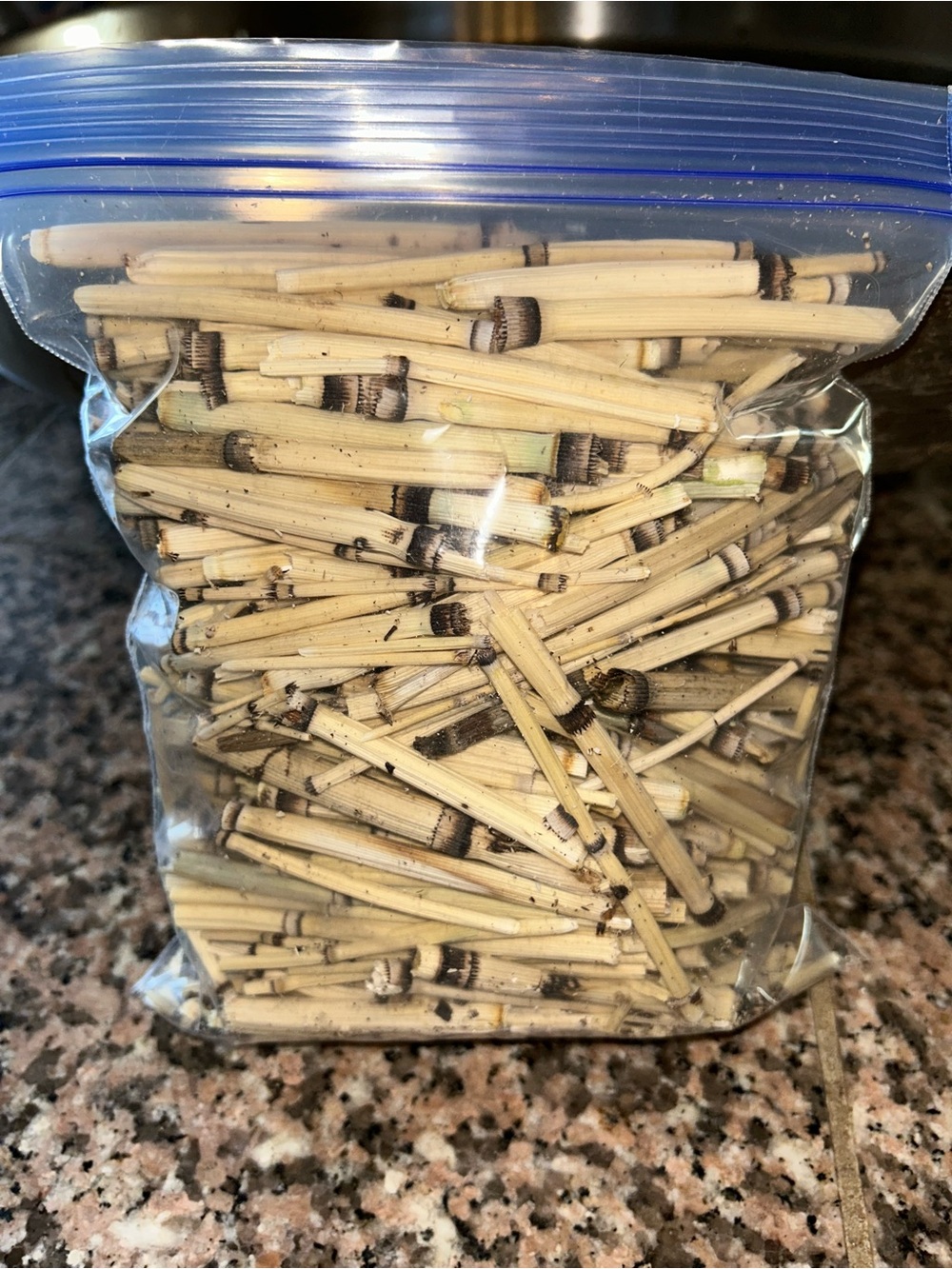 Natural Rattan Reed Stems with Dark Banding - Craft Pack